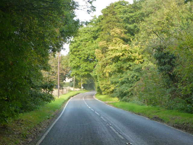 Essex and Suffolk Grand Loop: Finchingfield, Clare and Constable Country road scenery