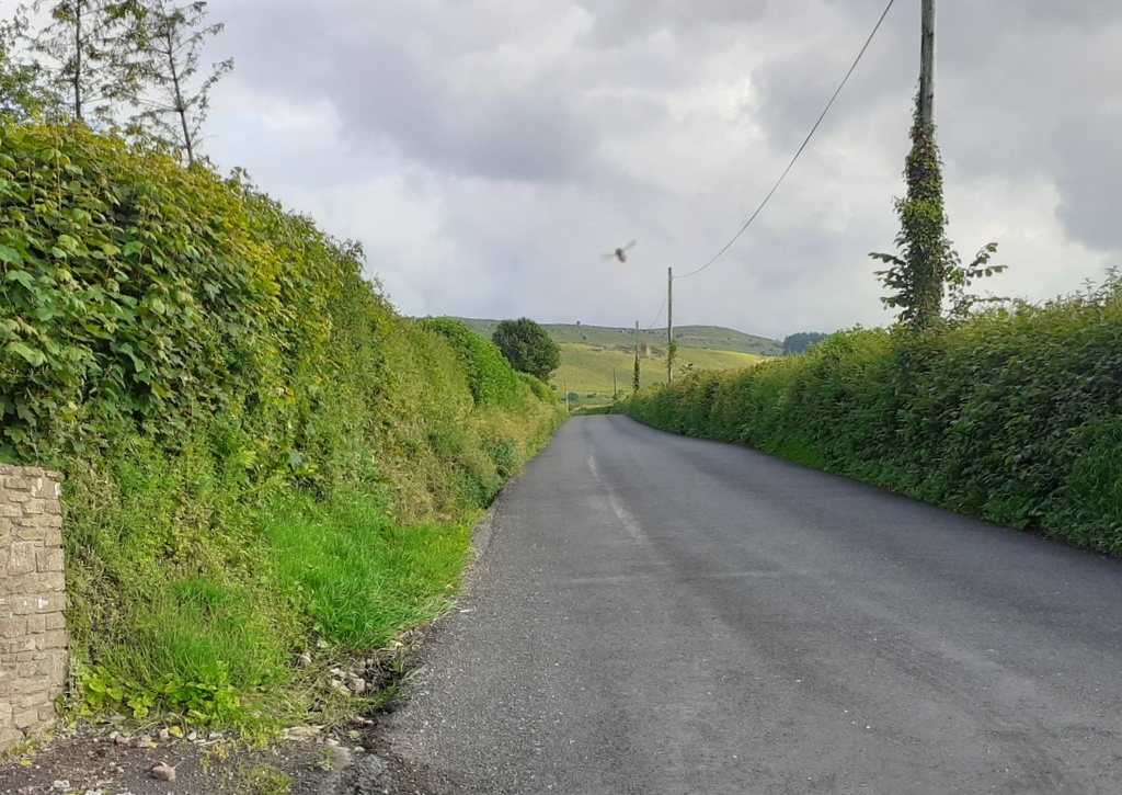 B4560 at Llwynrhyn