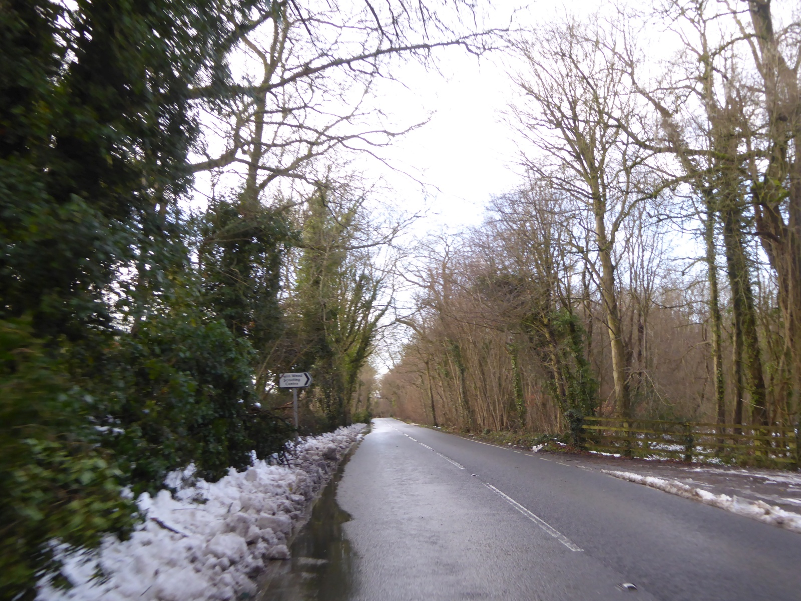 B4066 in woods on Pen Hill
