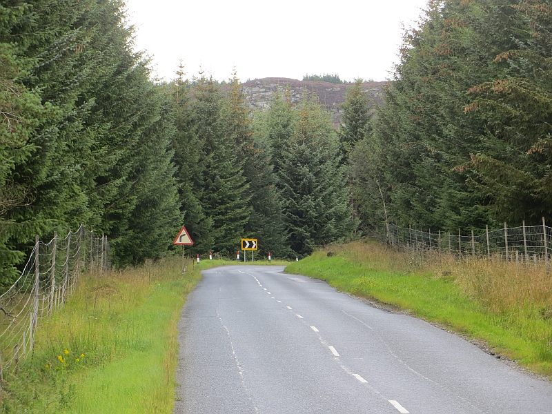 A826, Griffin Forest