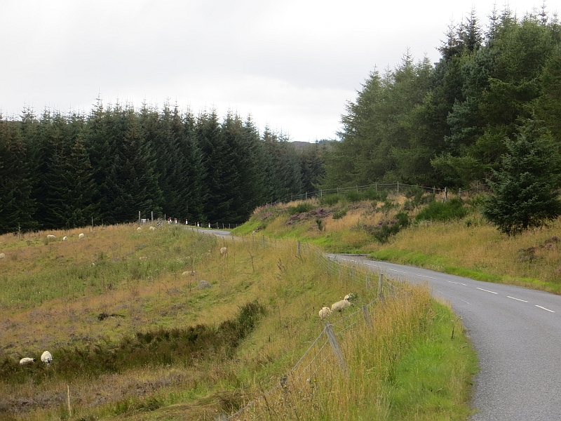 A826, Glen Cochill
