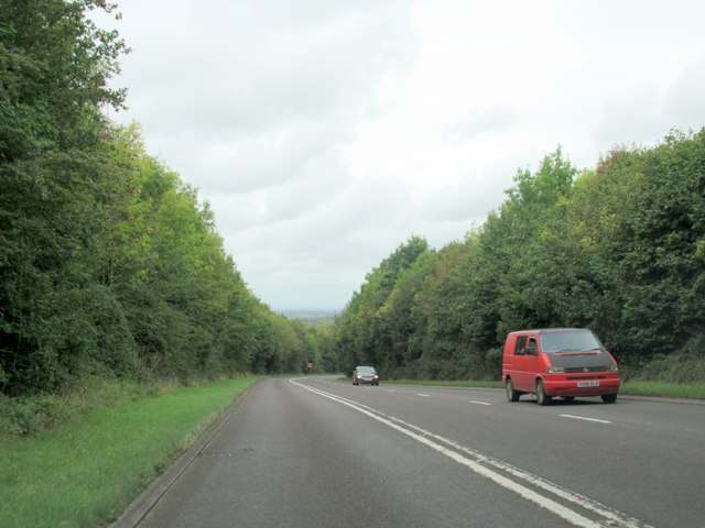 Descending Fish Hill