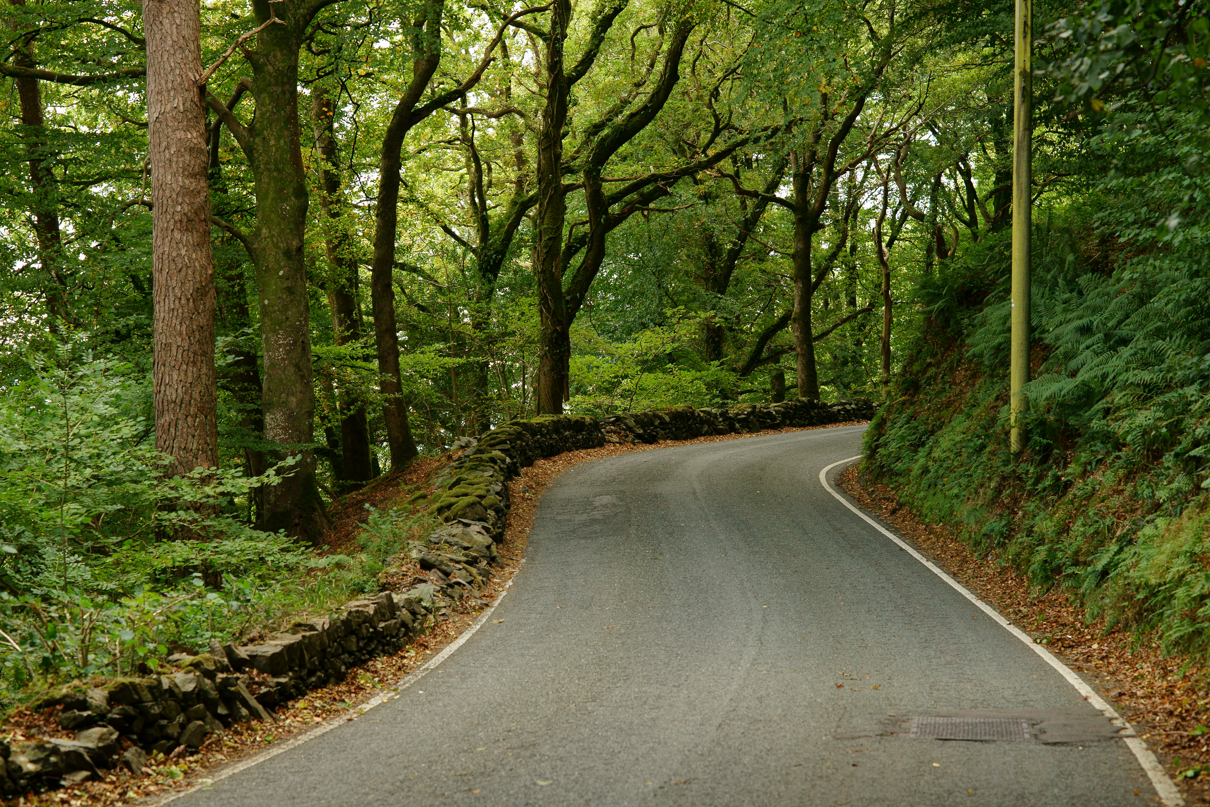 Bend on the A498