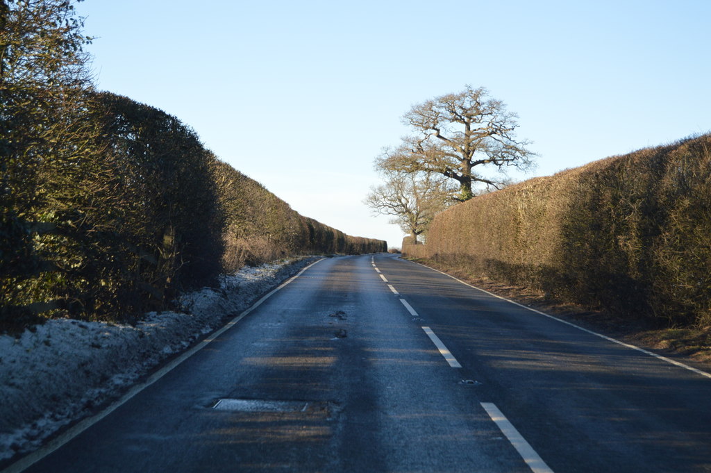 A262