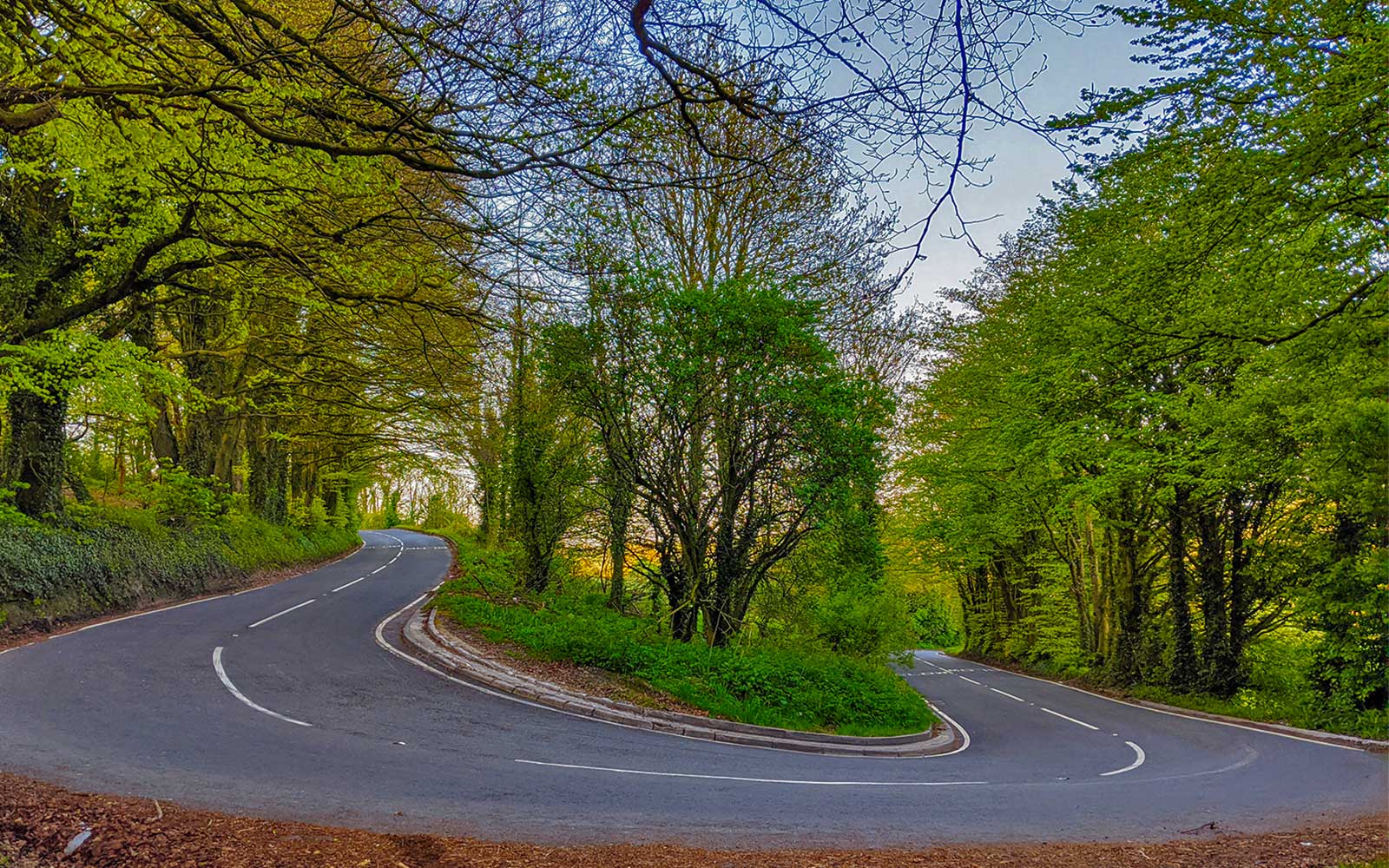 Zig Zag Hill