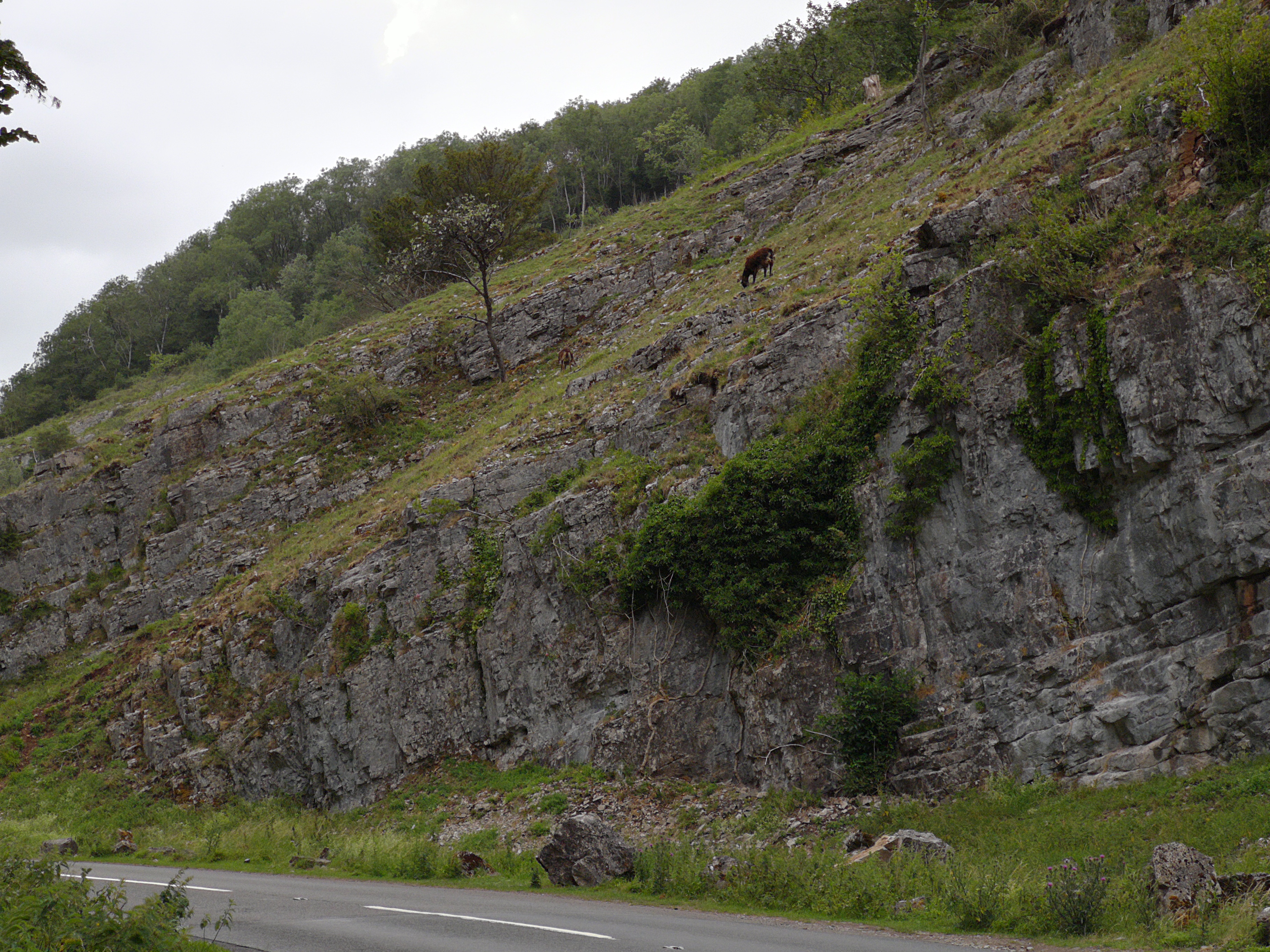 Cheddar , Cliff Road B3135