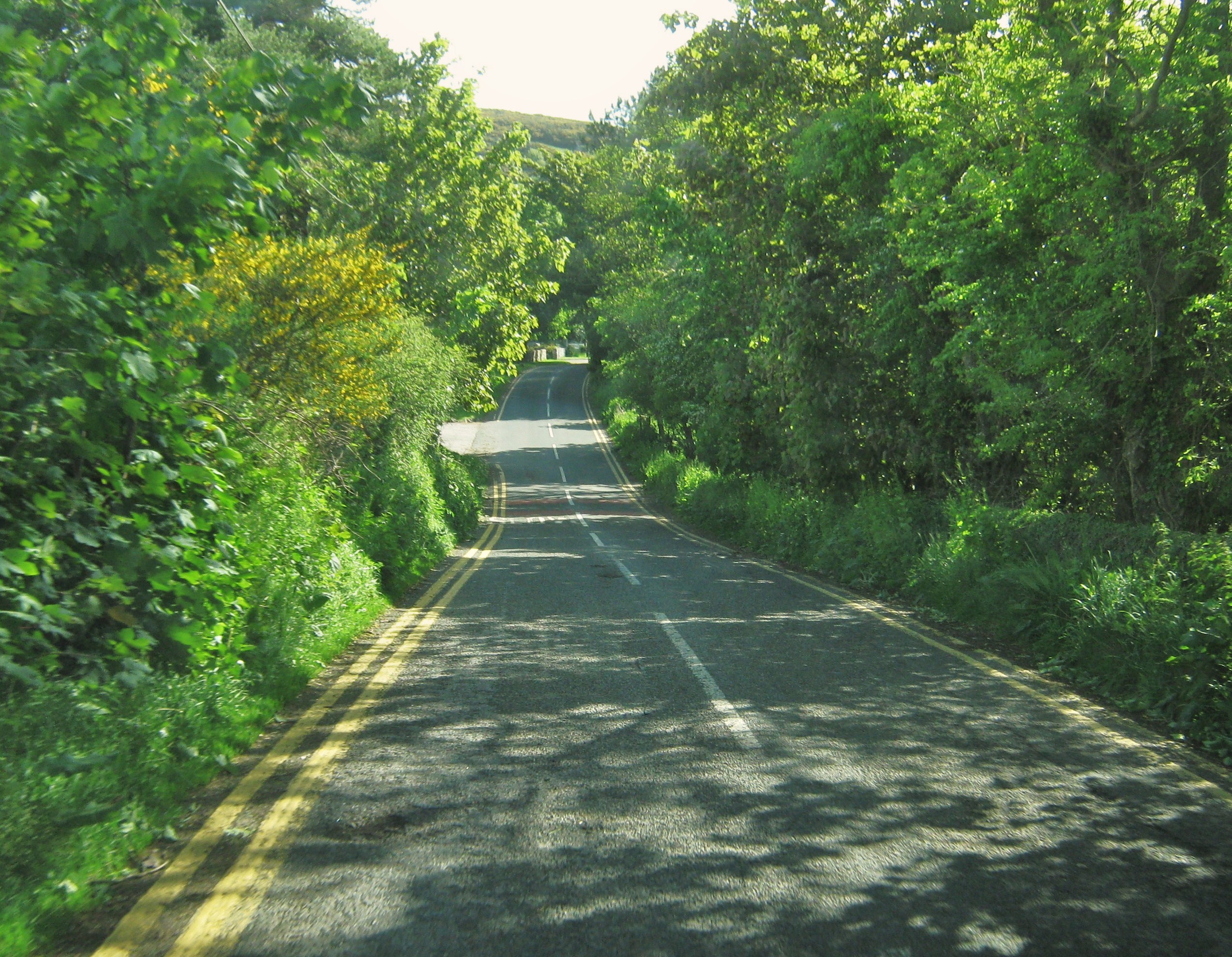 A710 at Sandyhills