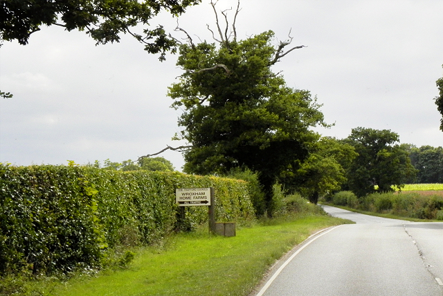 Norwich Road (A1151) near Wroxham