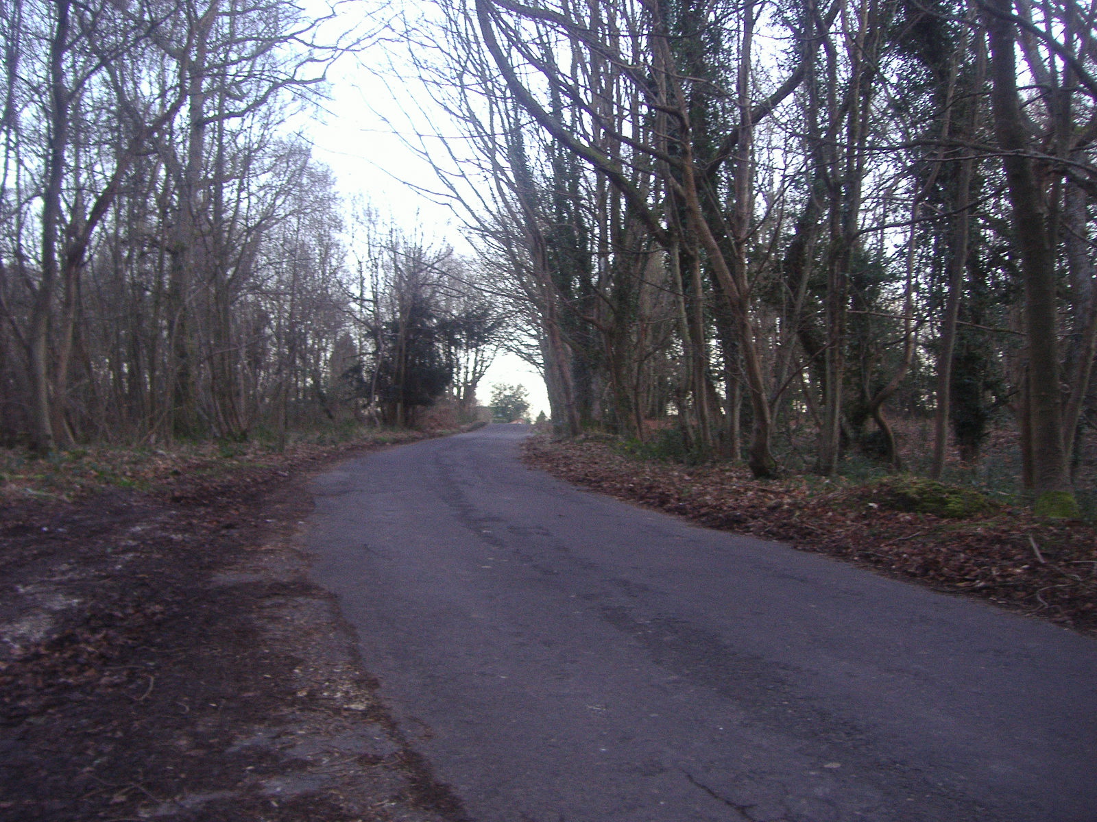 Ranmore Common Road near Westhumble