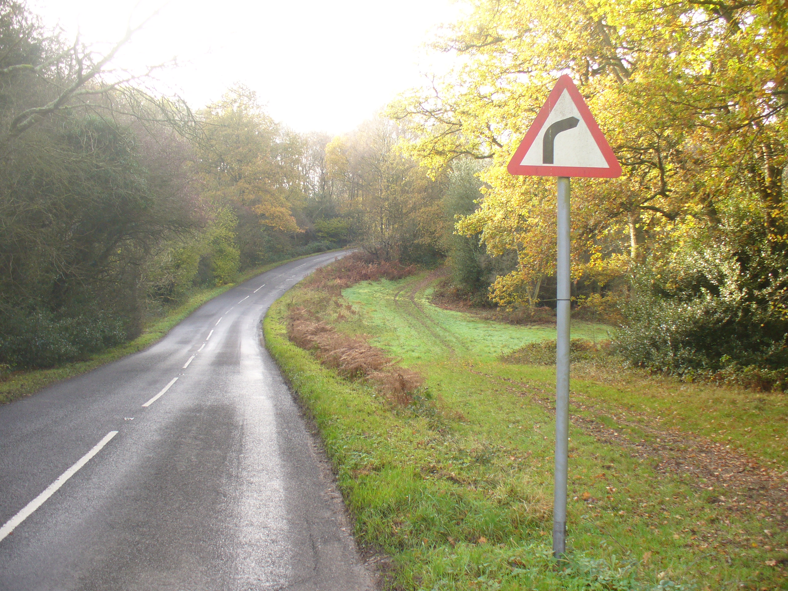 Right Bend, Ranmore Common Road — Ranmore Common (optional stop or nearby landmark; not necessarily visible from the road)