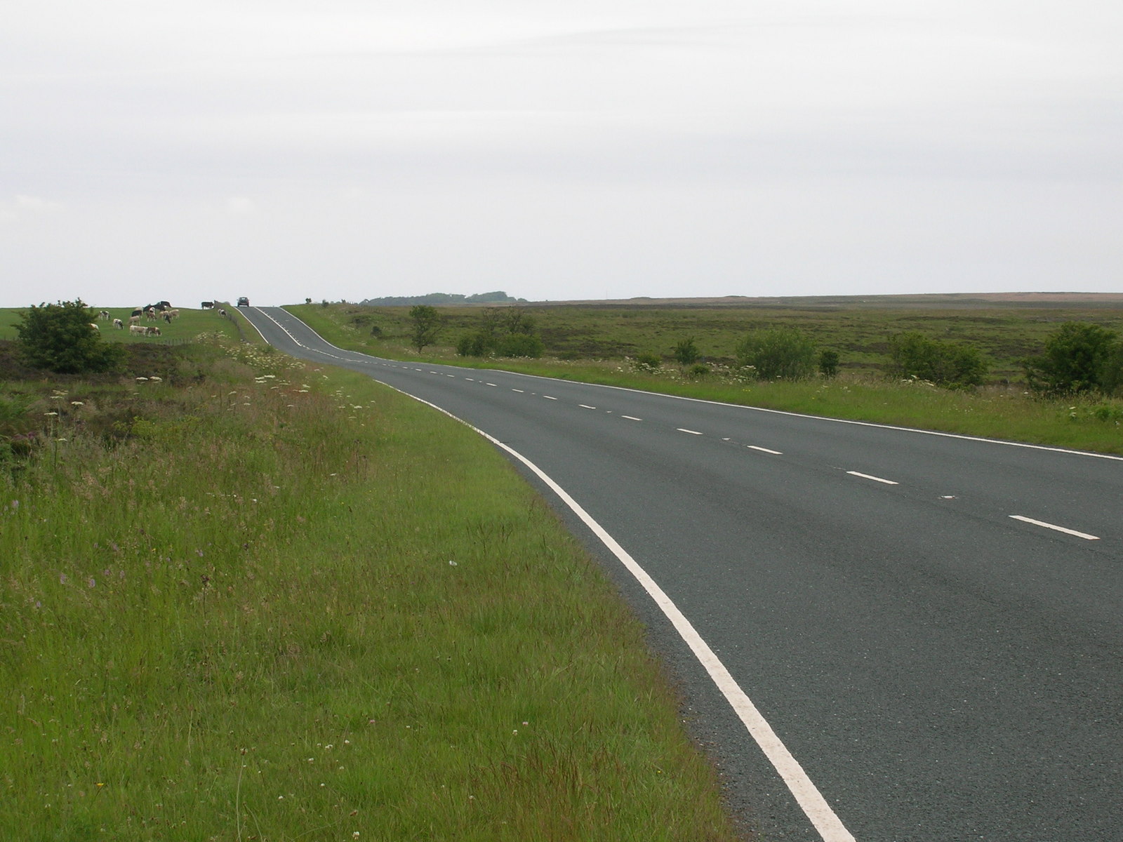 A171 towards Guisborough