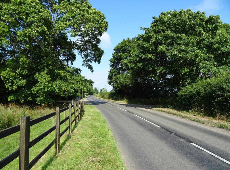 Southern Cotswolds Grand Loop: Slad, Westonbirt and Bibury road scenery