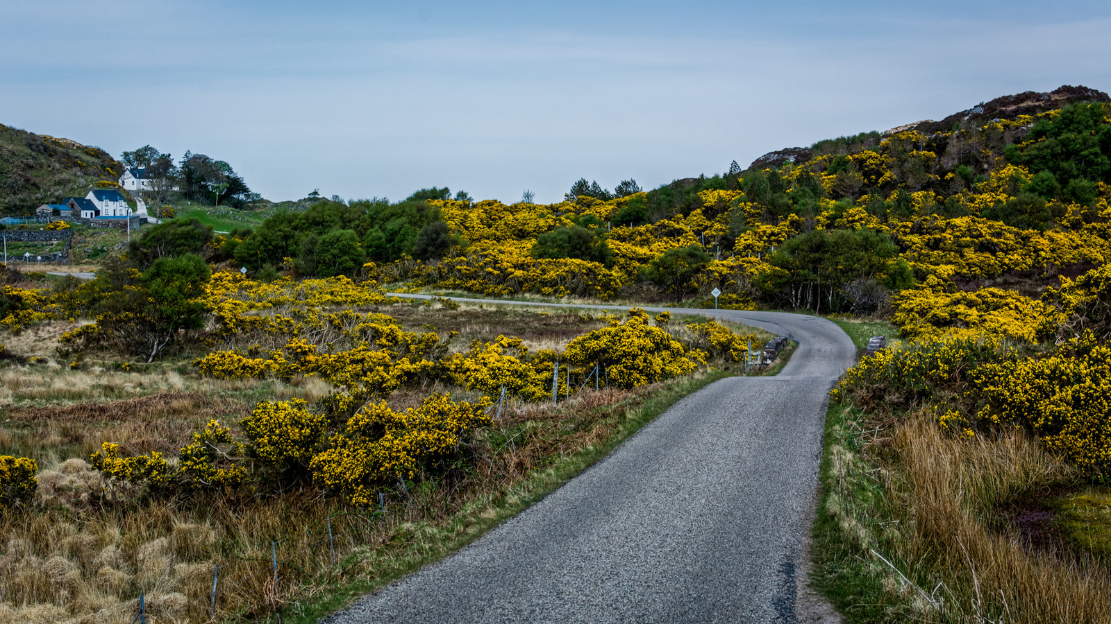 B869 near Oldany