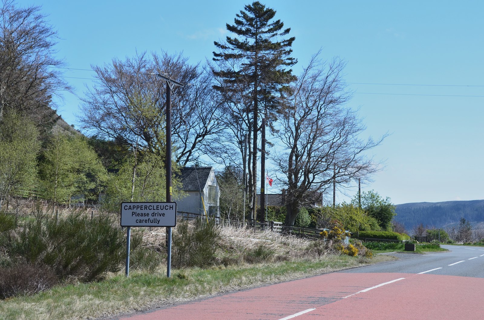 A708 at Cappercleuch