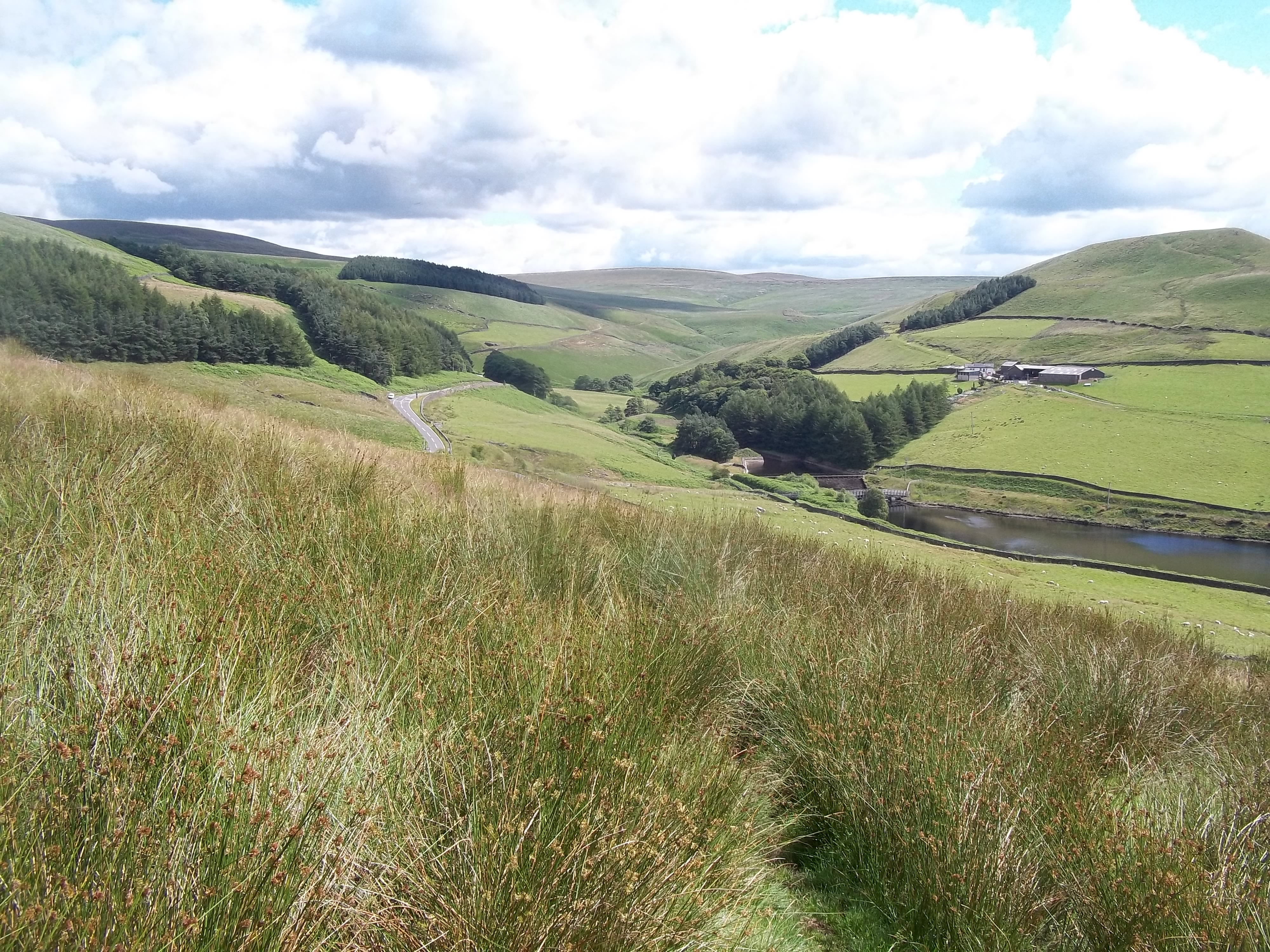 Holme Moss moorland and the A6024 near Pikenaze