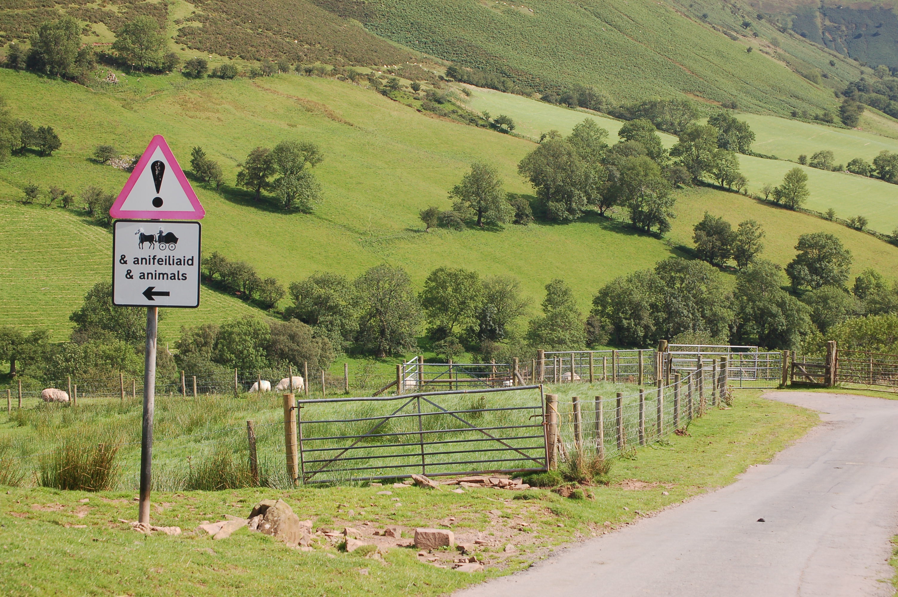 Warning of approaching cattle grid on Gospel Pass — nearby Gospel Pass (optional visit or landscape; not necessarily visible from the road)
