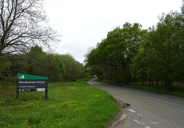 B1084, Rendlesham Forest